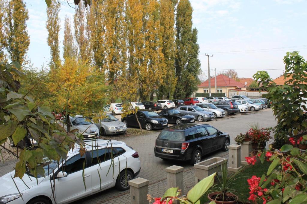 Bajor Panzio Bed and Breakfast Kecskemét Buitenkant foto